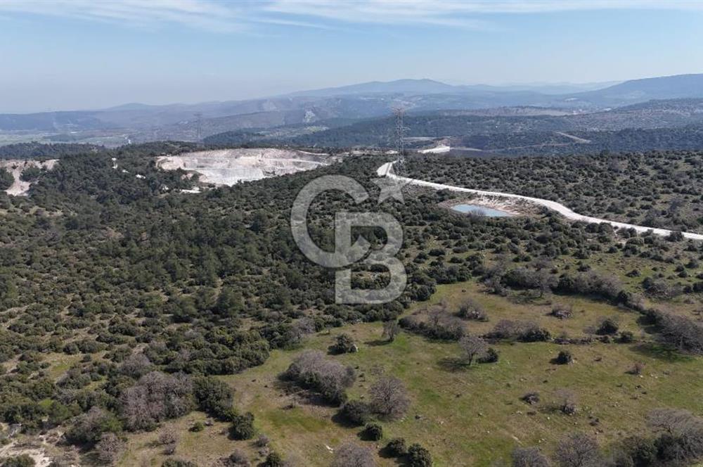 Bergama Maruflar'da Gölet Yakını Satılık Tarla