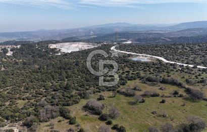 Bergama Maruflar'da Gölet Yakını Satılık Tarla