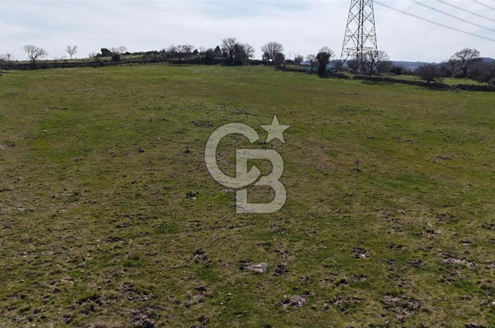 Bergama Maruflar'da Gölet Yakını Satılık Tarla