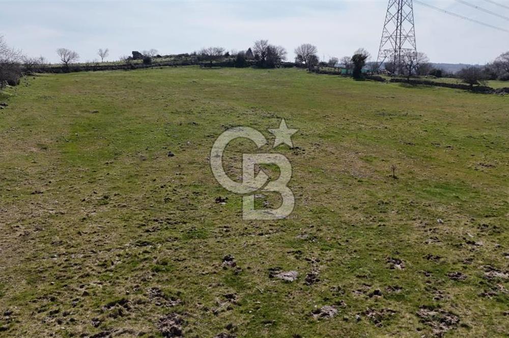 Bergama Maruflar'da Gölet Yakını Satılık Tarla