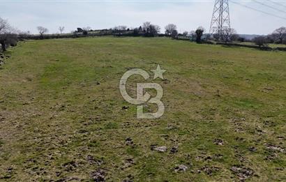 Bergama Maruflar'da Gölet Yakını Satılık Tarla