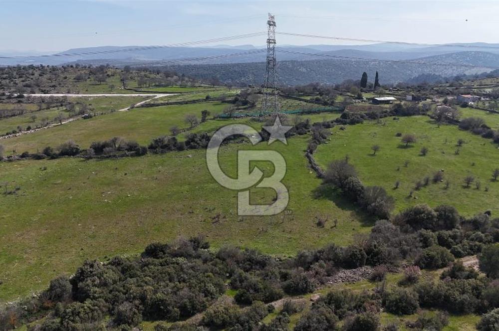 Bergama Maruflar'da Gölet Yakını Satılık Tarla