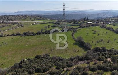 Bergama Maruflar'da Gölet Yakını Satılık Tarla