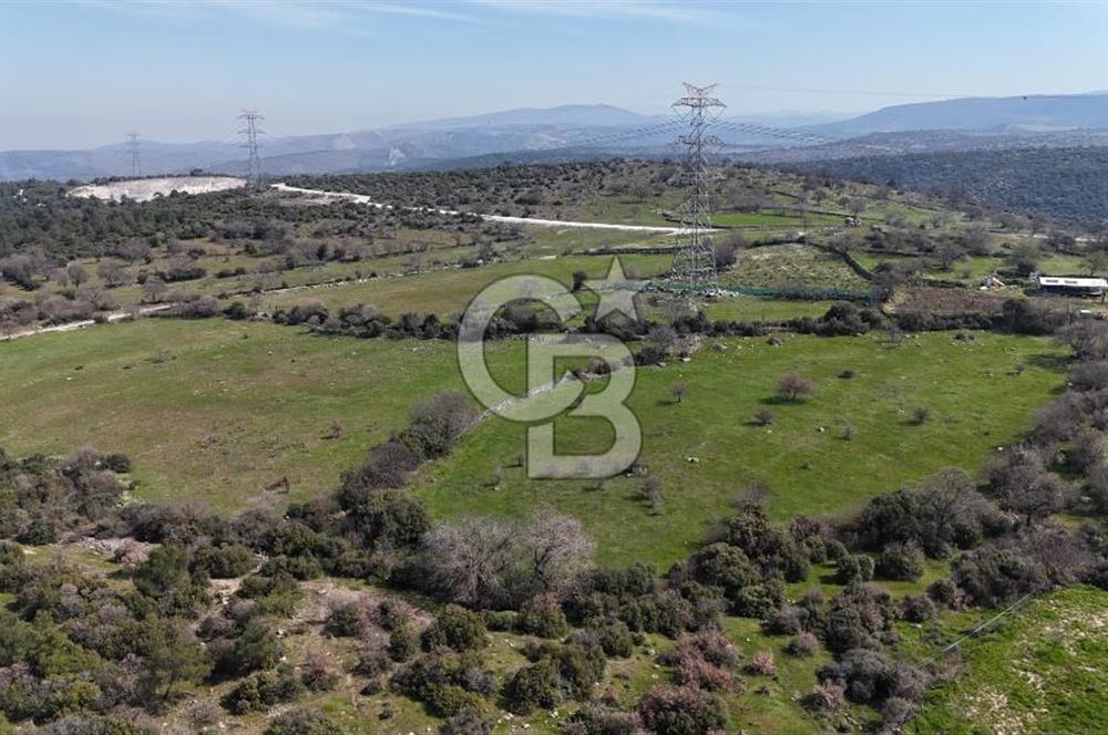 Bergama Maruflar'da Gölet Yakını Satılık Tarla
