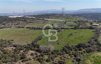 Bergama Maruflar'da Gölet Yakını Satılık Tarla