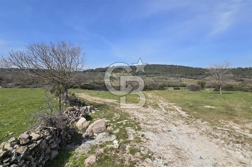 Bergama Maruflar'da Gölet Yakını Satılık Tarla