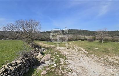 Bergama Maruflar'da Gölet Yakını Satılık Tarla