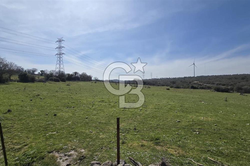 Bergama Maruflar'da Gölet Yakını Satılık Tarla