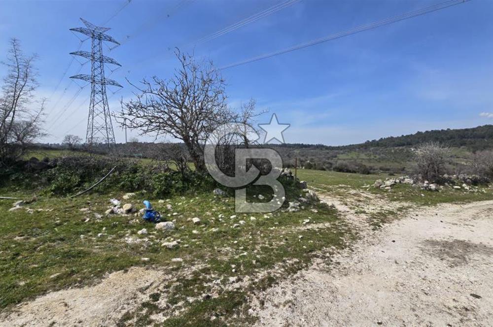 Bergama Maruflar'da Gölet Yakını Satılık Tarla