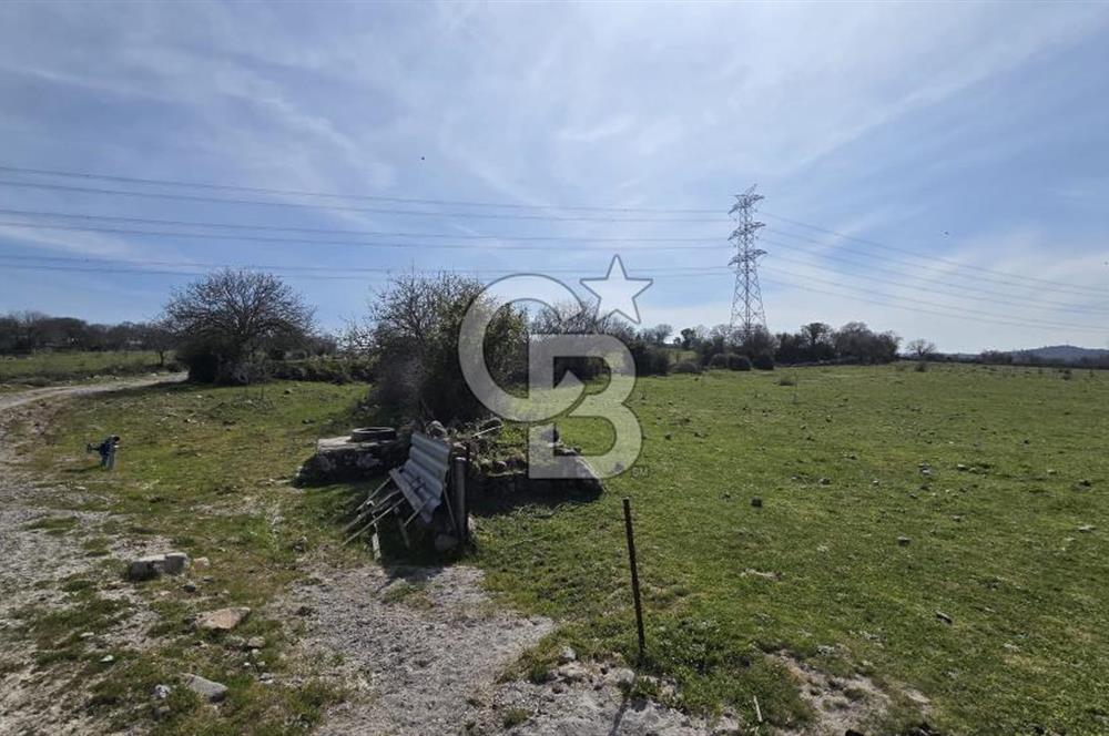 Bergama Maruflar'da Gölet Yakını Satılık Tarla