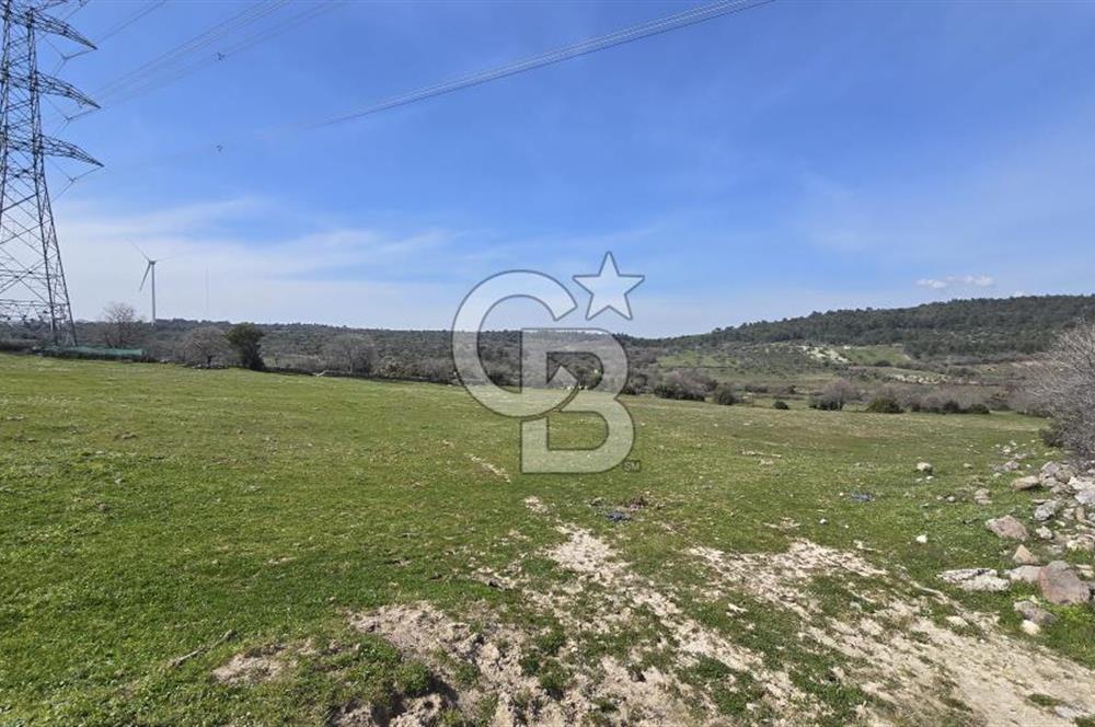 Bergama Maruflar'da Gölet Yakını Satılık Tarla