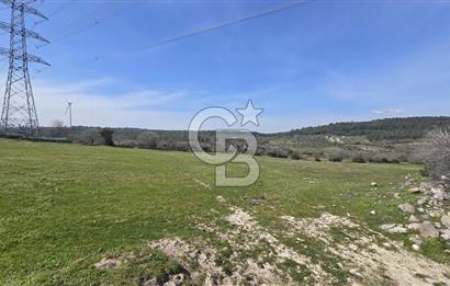 Bergama Maruflar'da Gölet Yakını Satılık Tarla