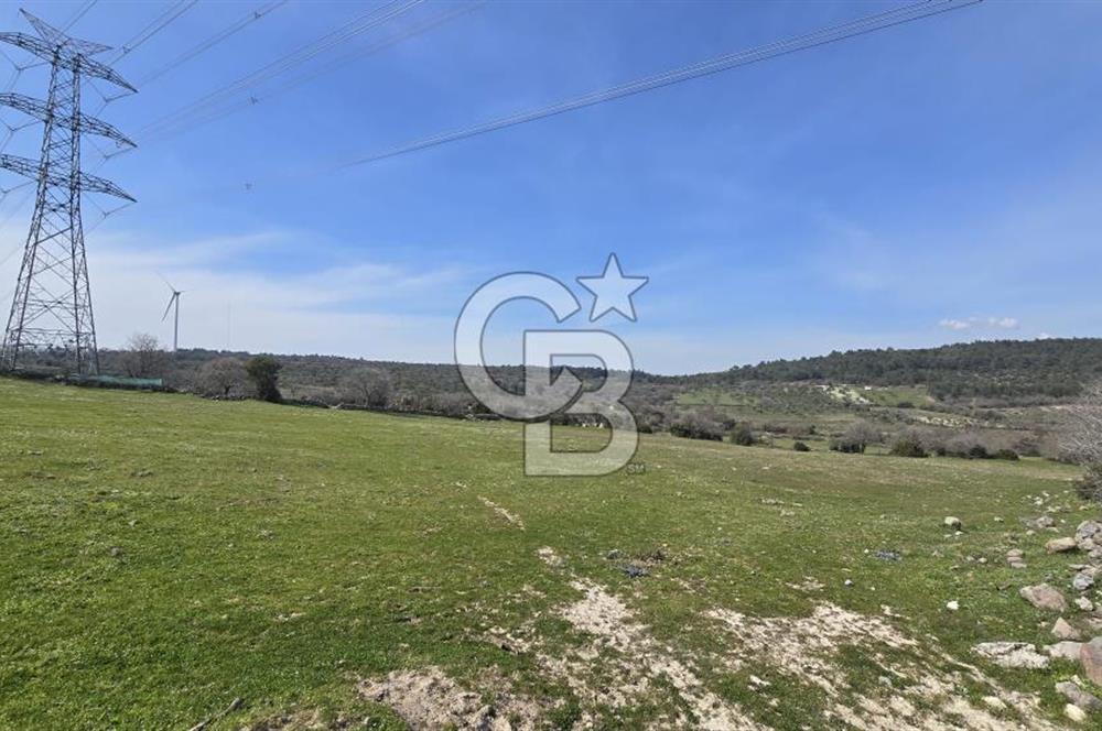 Bergama Maruflar'da Gölet Yakını Satılık Tarla