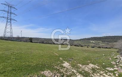 Bergama Maruflar'da Gölet Yakını Satılık Tarla