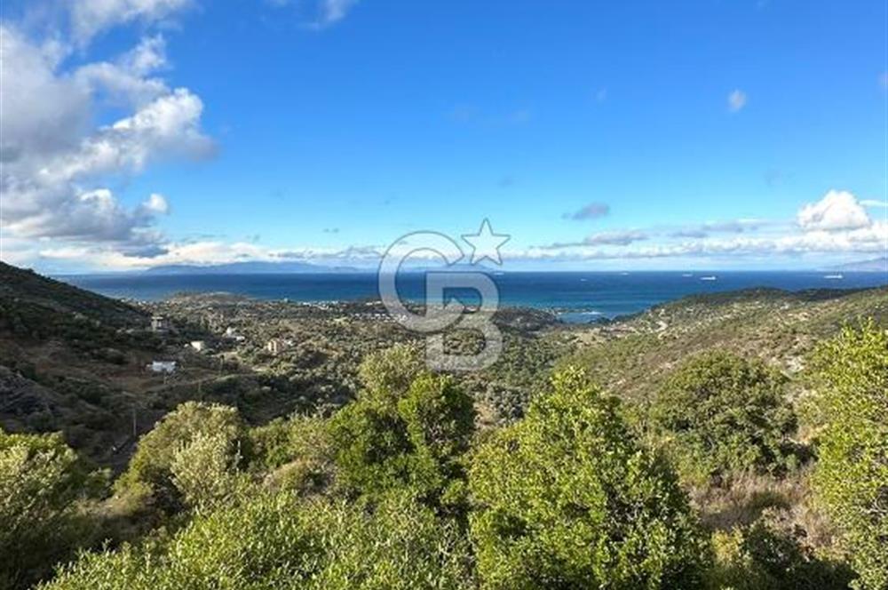 Foça Sazlıca Mevkiinde Satılık Deniz Manzaralı Arsa