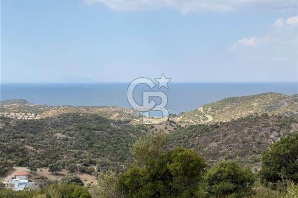 Foça Sazlıca Mevkiinde Satılık Deniz Manzaralı Arsa