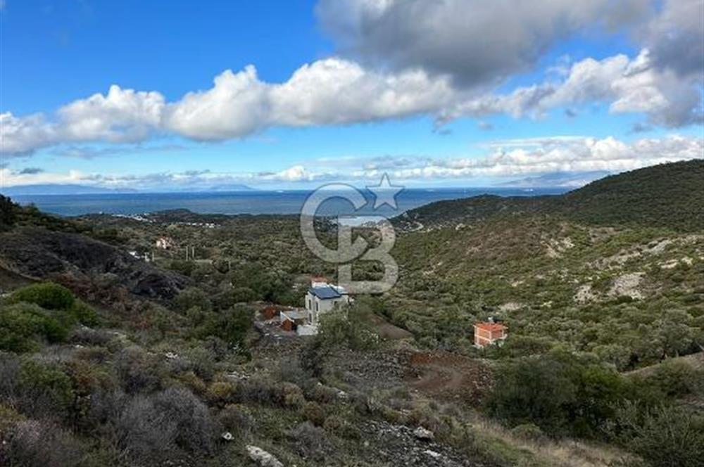 Foça Sazlıca Mevkiinde Satılık Deniz Manzaralı Arsa