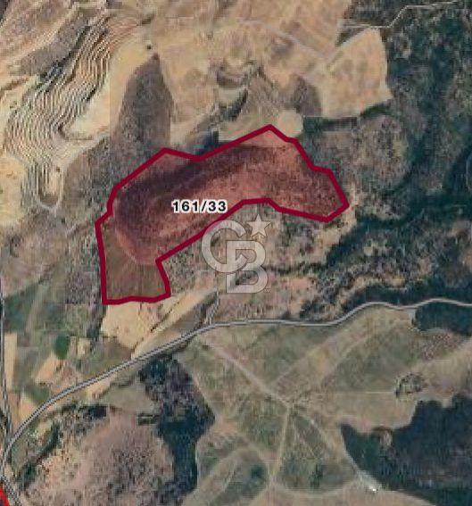 Manisa Salihli Kemer'de Satılık Yatırımlık Arazi