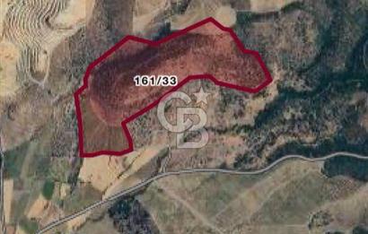 Manisa Salihli Kemer'de Satılık Yatırımlık Arazi