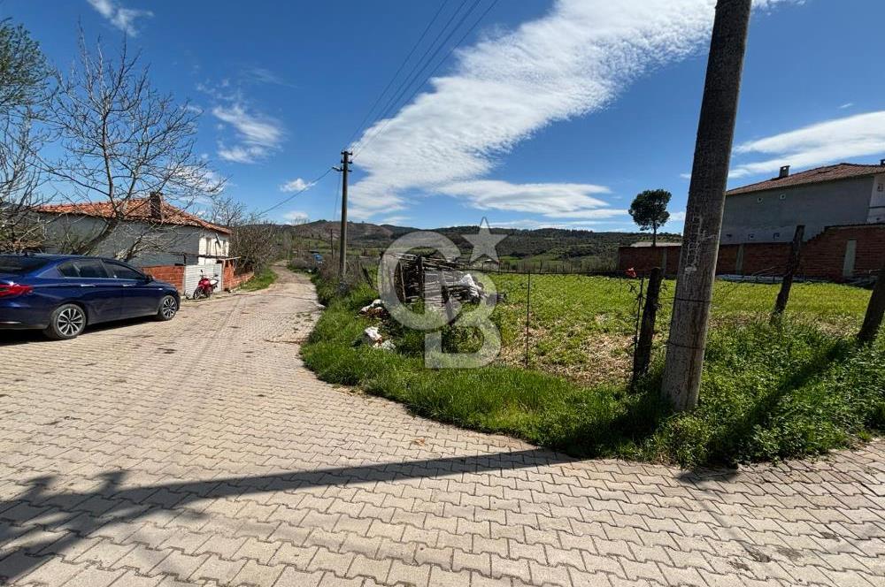 Çanakkale Yenice Pazarköy Köyünde Satılık 739 M² Arsa !