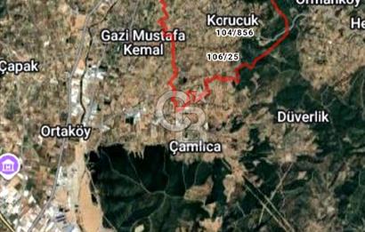 TORBALI DİRMİL de 1.260 m2 SATILIK ZEYTİNLİK 