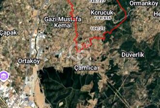 TORBALI DİRMİL de 1.260 m2 SATILIK ZEYTİNLİK  - 2 - 343169