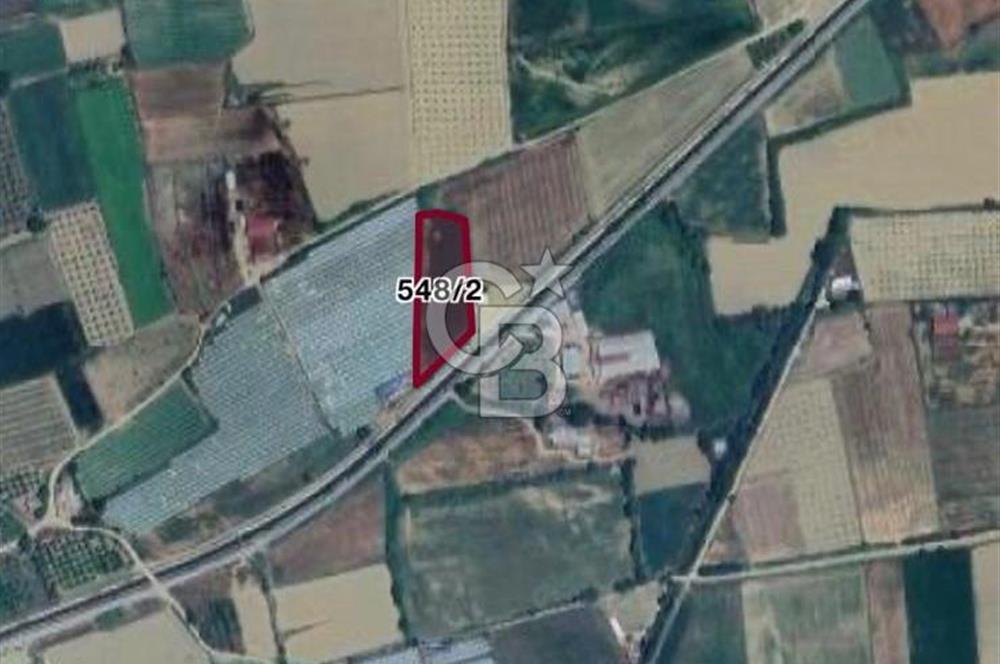 AYDIN SULTANHİSAR ATÇA MAH. SATILIK YOL CEPHELİ 4.557 m2 TARLA