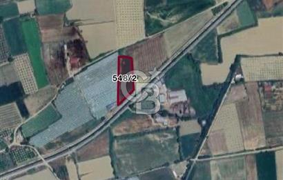 AYDIN SULTANHİSAR ATÇA MAH. SATILIK YOL CEPHELİ 4.557 m2 TARLA