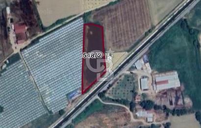 AYDIN SULTANHİSAR ATÇA MAH. SATILIK YOL CEPHELİ 4.557 m2 TARLA