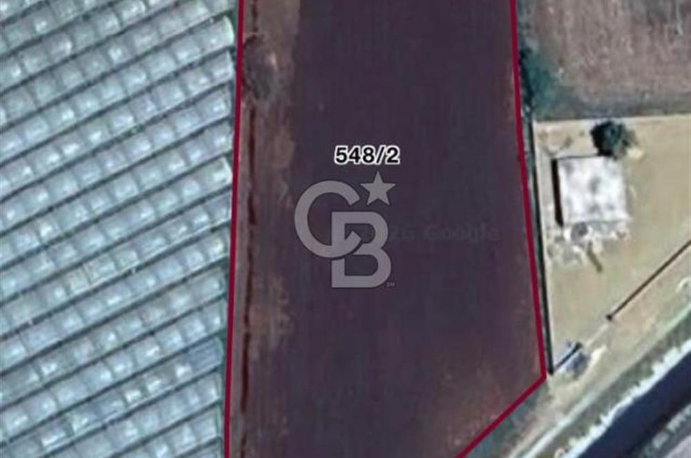 AYDIN SULTANHİSAR ATÇA MAH. SATILIK YOL CEPHELİ 4.557 m2 TARLA