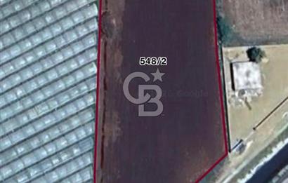 AYDIN SULTANHİSAR ATÇA MAH. SATILIK YOL CEPHELİ 4.557 m2 TARLA