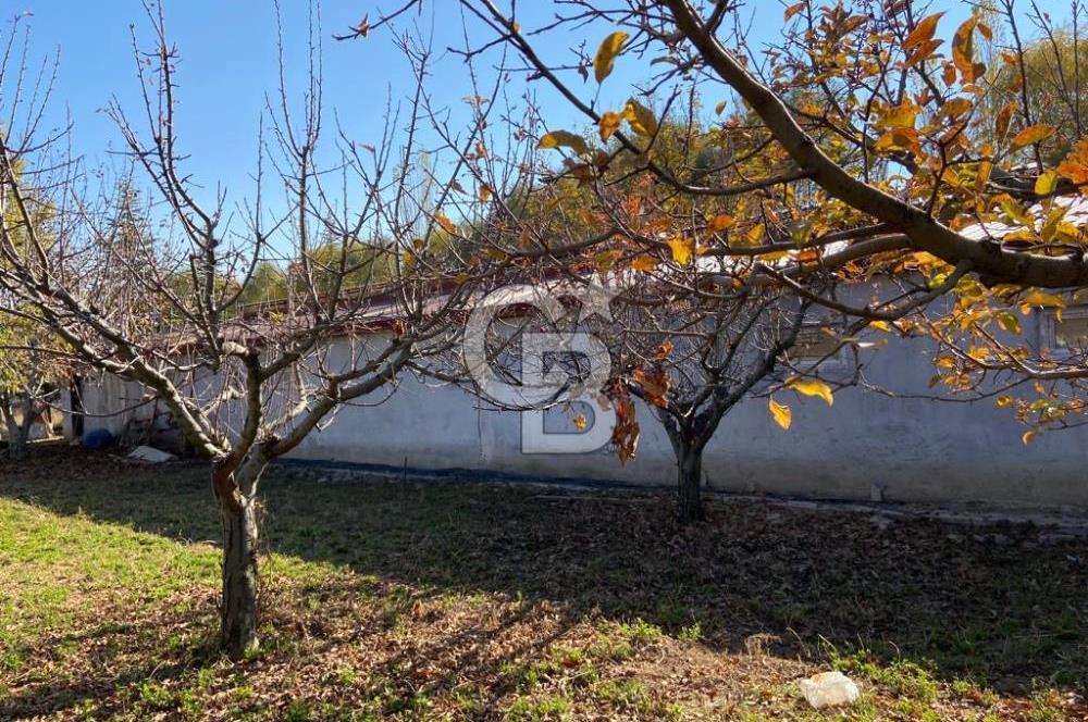 Emirgazi köyü kiralık ahır