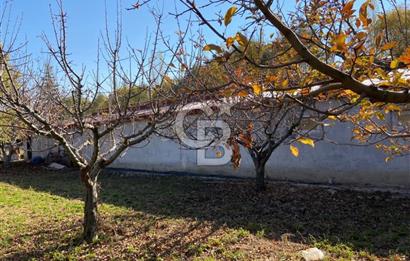 Emirgazi köyü kiralık ahır