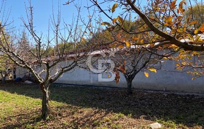 Emirgazi köyü kiralık ahır