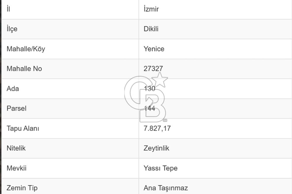 Dikili Yenice'de 7.827 m² Zeytinlik Satılık Yatırım Fırsatı