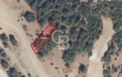 SATILIK AYDIN SÖKE 399 M2 İMARLI ARSA