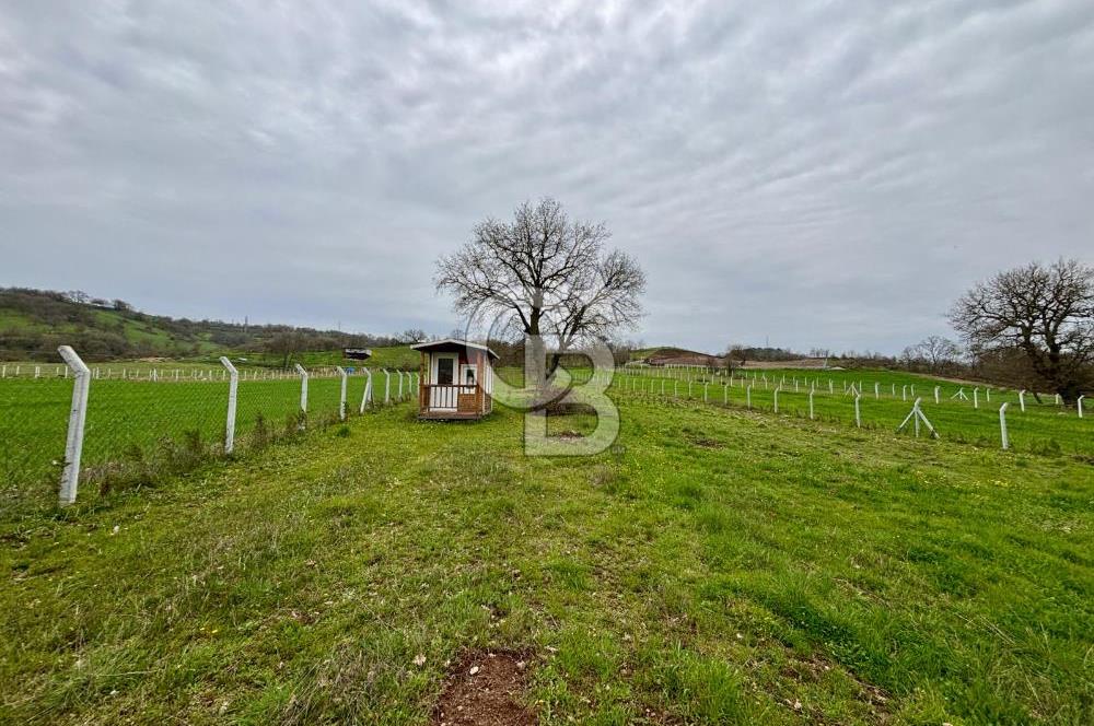 CB KİNG'DEN KÖSEAĞALAR'DA 2 ADET 75 m² BUNGALOV EV SATILIK TARLA