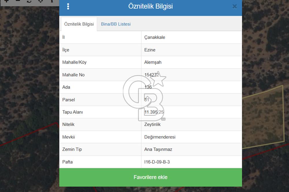 ÇANAKKALE EZİNE ALEMŞAH KÖYÜ’NDE 11 DÖNÜM SATILIK ZEYTİNLİK