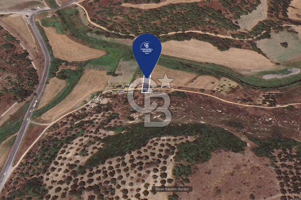 NEMPORT LİMANI YAKININDA YATIRIMA UYGUN SATILIK TARLA