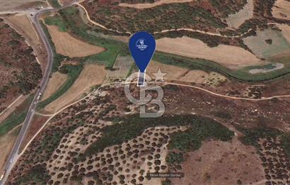 NEMPORT LİMANI YAKININDA YATIRIMA UYGUN SATILIK TARLA