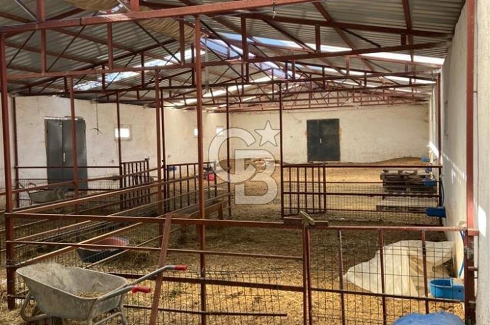 Emirgazi köyü kiralık ahır