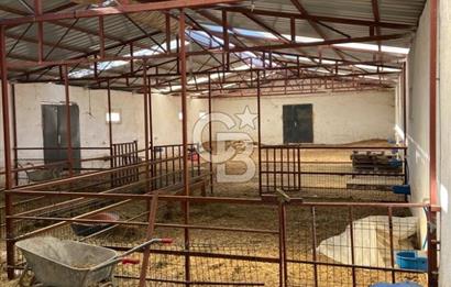 Emirgazi köyü kiralık ahır