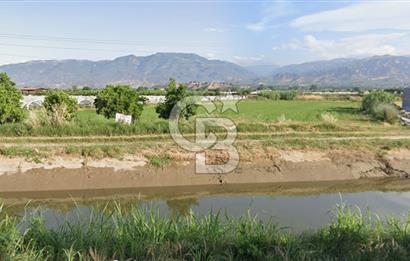 AYDIN SULTANHİSAR ATÇA MAH. SATILIK YOL CEPHELİ 4.557 m2 TARLA