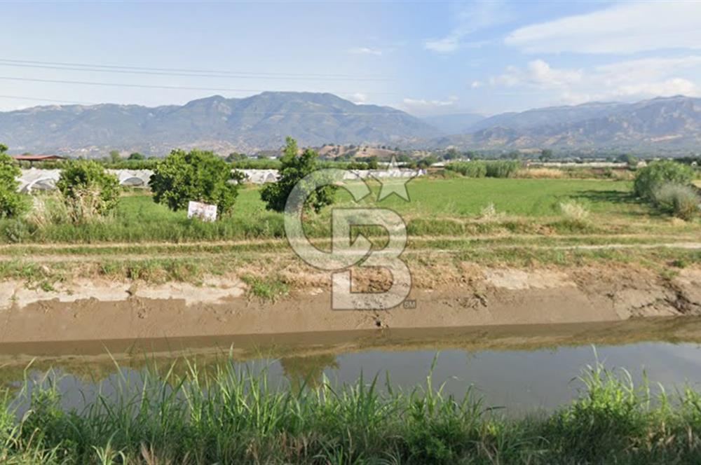 AYDIN SULTANHİSAR ATÇA MAH. SATILIK YOL CEPHELİ 4.557 m2 TARLA