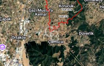 izmir torbalı dimril 3500 m2 zeytinlik