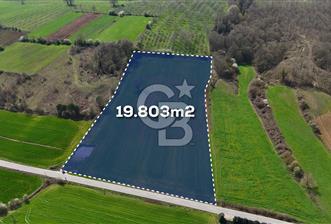 CB AKADEMİ AKMEŞE GİŞELER SATILIK ASFALT CEPHE 19.803 M2 TARLA - 1 - 343246