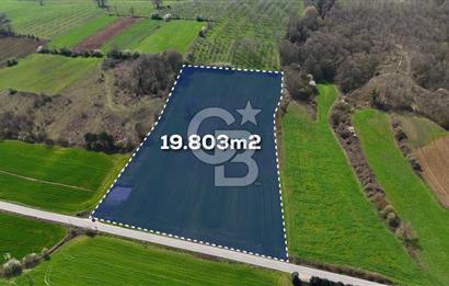 CB AKADEMİ AKMEŞE GİŞELER SATILIK ASFALT CEPHE 19.803 M2 TARLA
