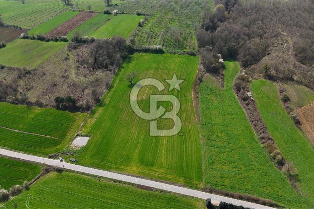 CB AKADEMİ AKMEŞE GİŞELER SATILIK ASFALT CEPHE 19.803 M2 TARLA