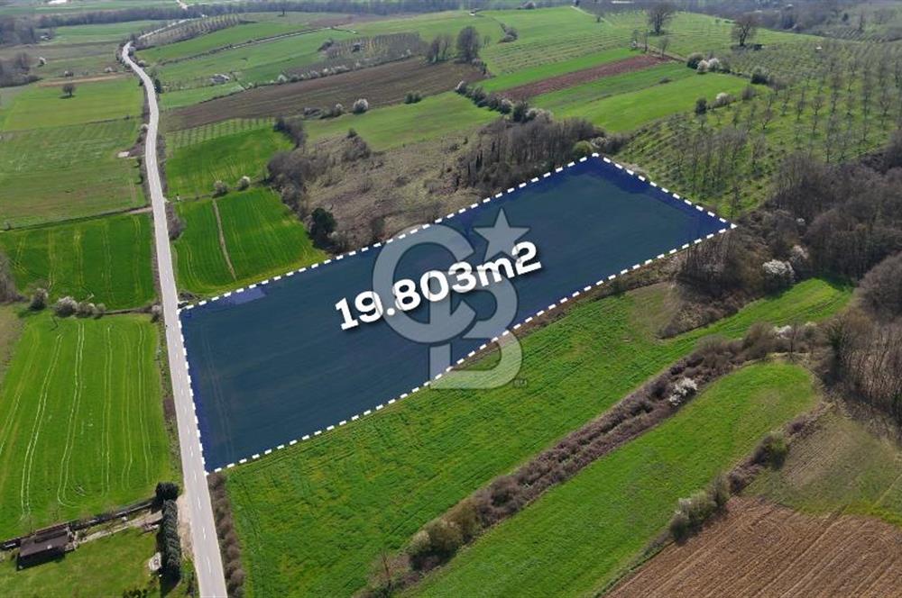 CB AKADEMİ AKMEŞE GİŞELER SATILIK ASFALT CEPHE 19.803 M2 TARLA