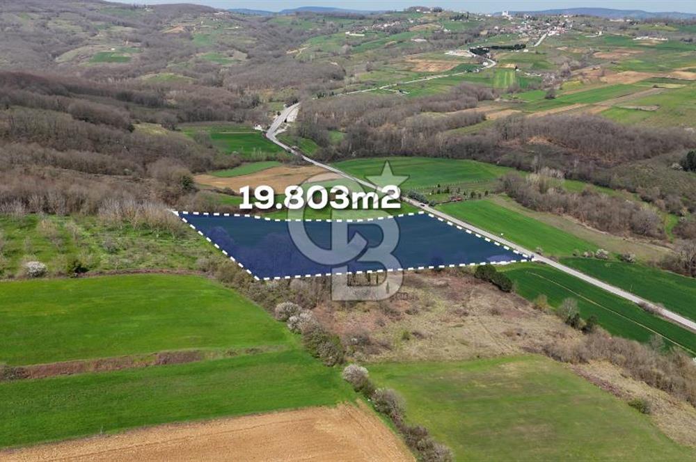 CB AKADEMİ AKMEŞE GİŞELER SATILIK ASFALT CEPHE 19.803 M2 TARLA